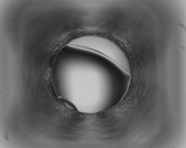 X0000096191349200801180959