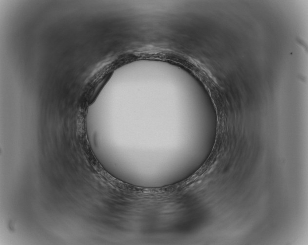 X0000096191350200801180959