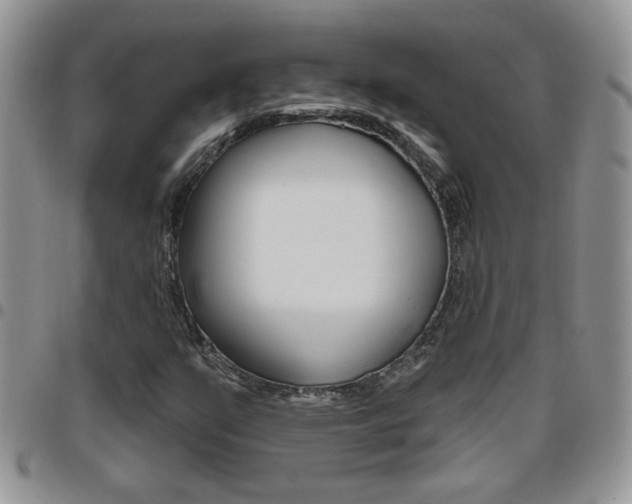 X0000096191351200801180959