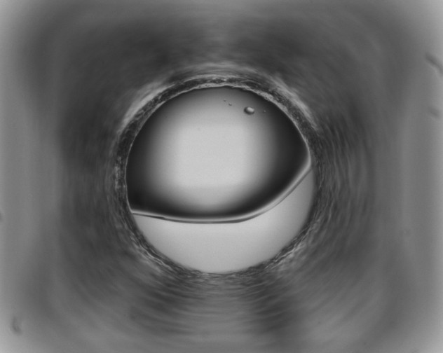 X0000096191352200801180959