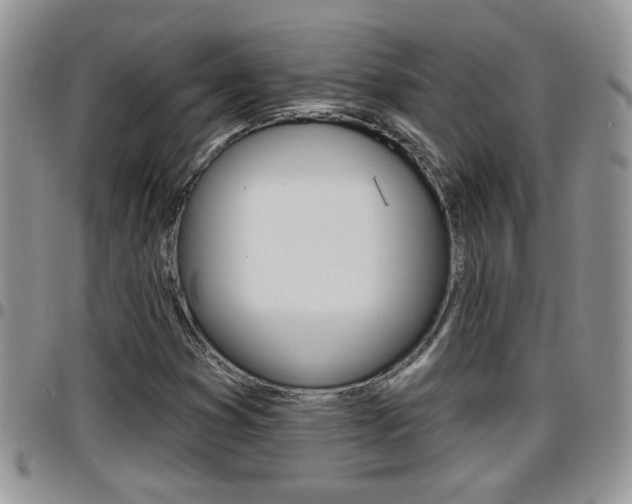 X0000096191353200801180959
