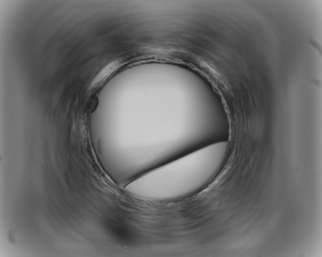 X0000096191354200801180959