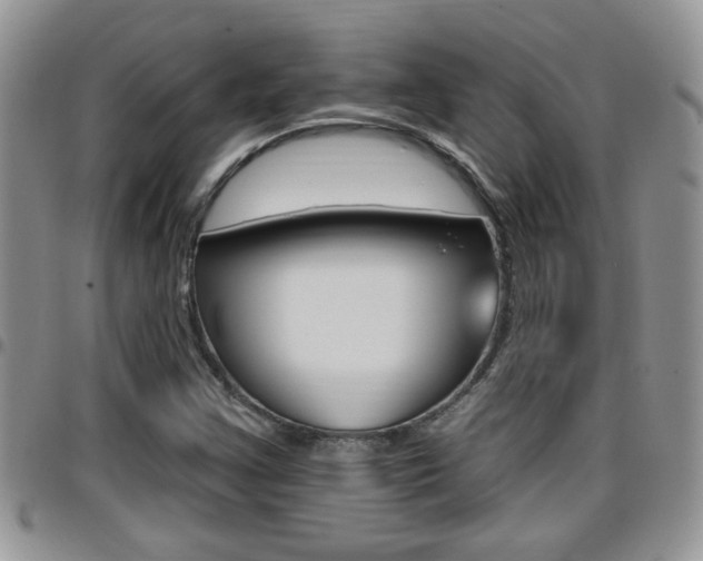 X0000096191355200801180959