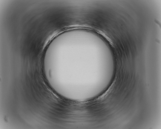 X0000096191357200801180959