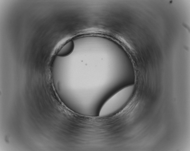 X0000096191358200801180959