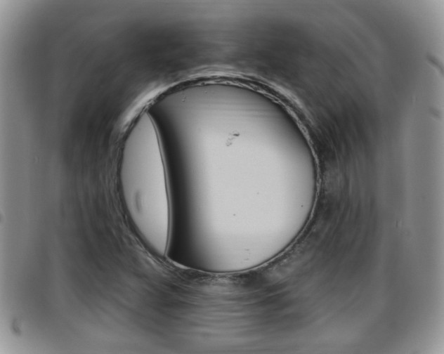 X0000096191359200801180959