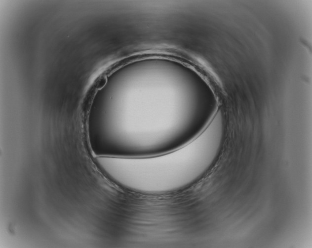 X0000096191360200801180959