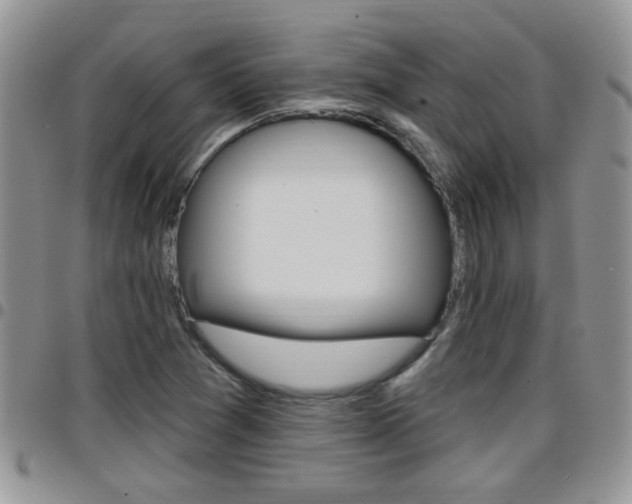 X0000096191361200801180959