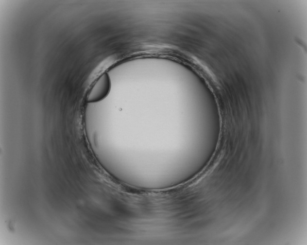 X0000096191362200801180959