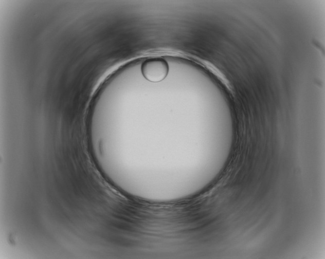 X0000096191364200801180959