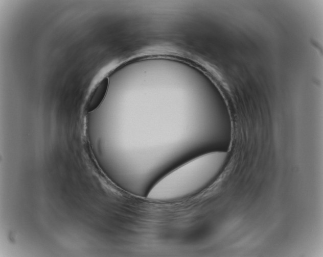 X0000096191366200801180959