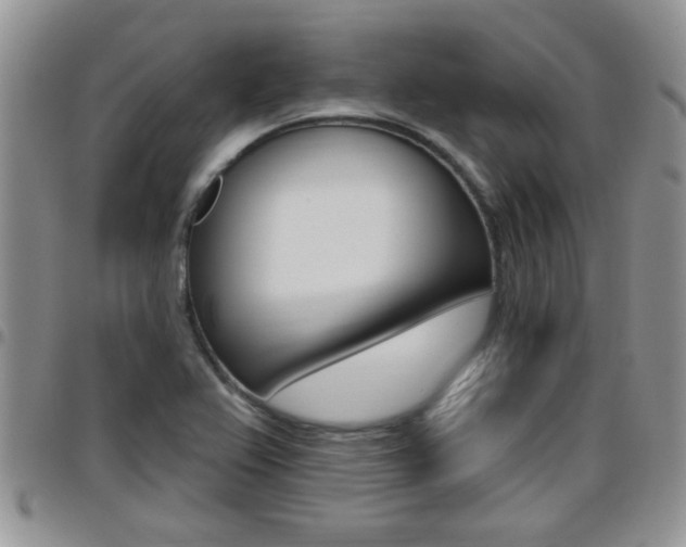 X0000096191367200801180959