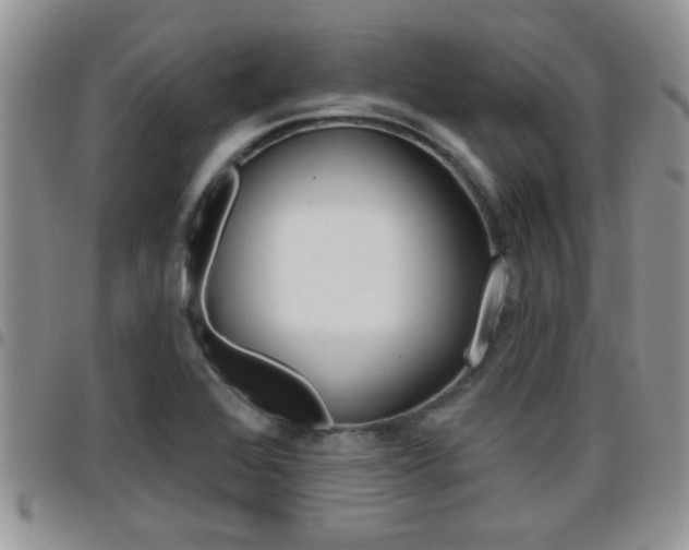 X0000096191368200801180959