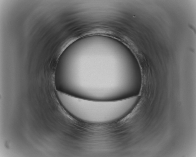 X0000096191369200801180959