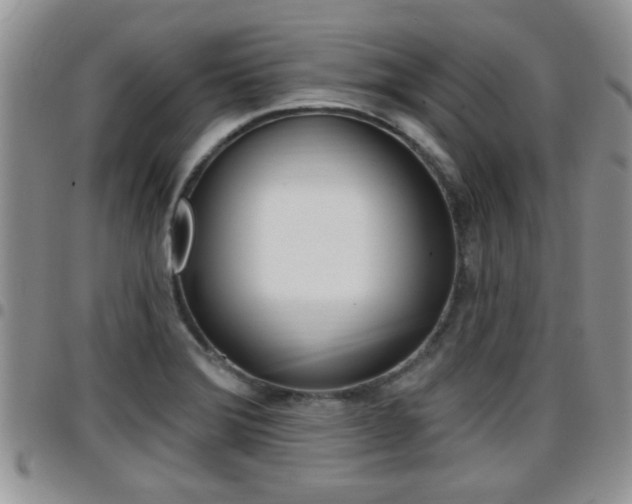 X0000096191372200801180959