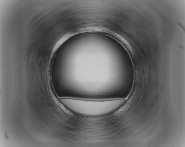 X0000096191373200801180959