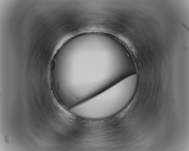 X0000096191374200801180959