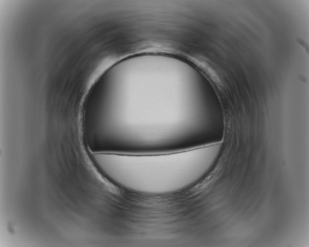 X0000096191375200801180959