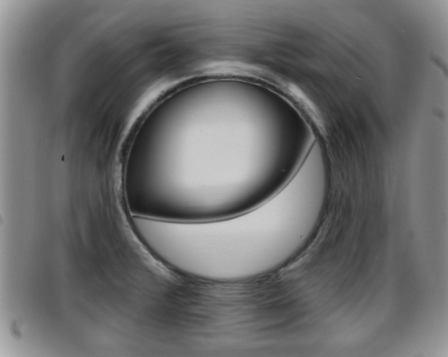 X0000096191376200801180959