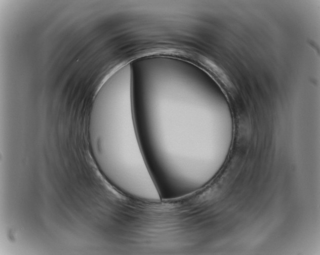 X0000096191377200801180959