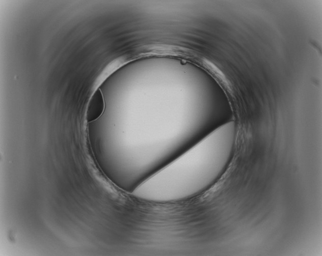 X0000096191378200801180959