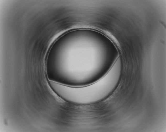 X0000096191380200801180959