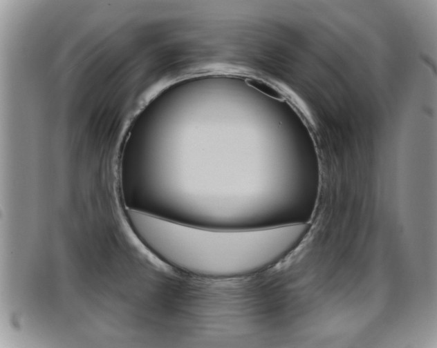 X0000096191381200801180959