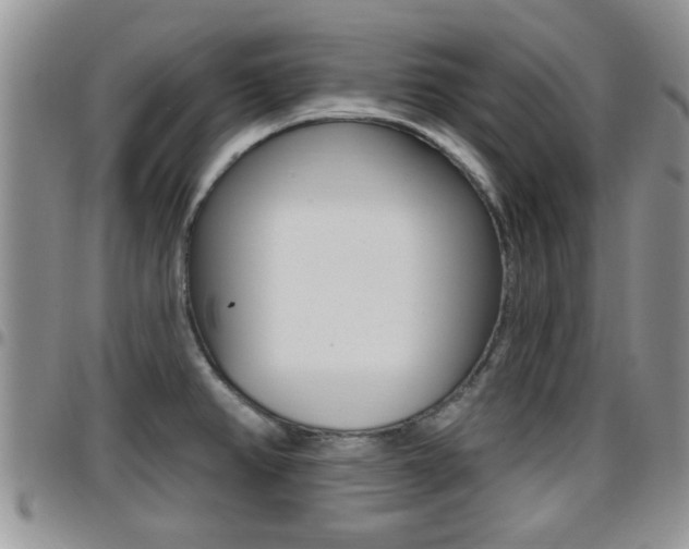X0000096191382200801180959