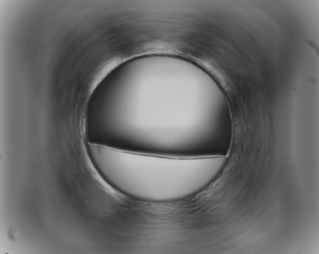 X0000096191383200801180959