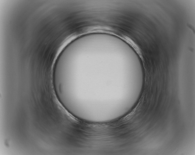 X0000096191384200801180959
