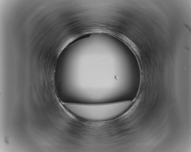 X0000096191385200801180959