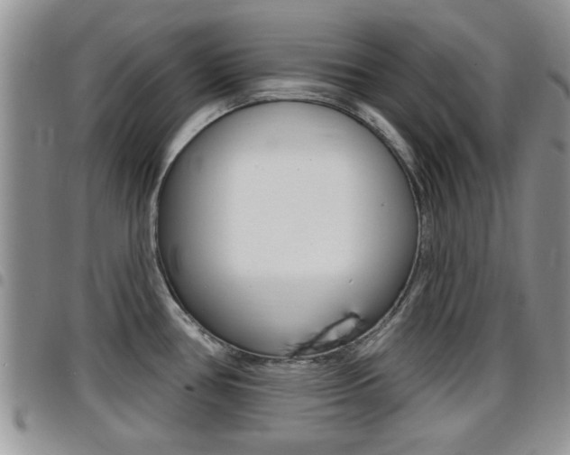 X0000096191386200801180959
