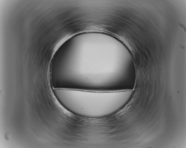 X0000096191387200801180959