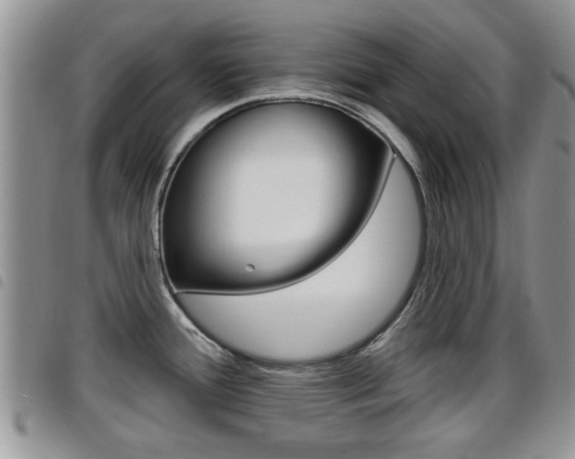 X0000096191388200801180959