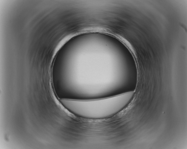 X0000096191389200801180958