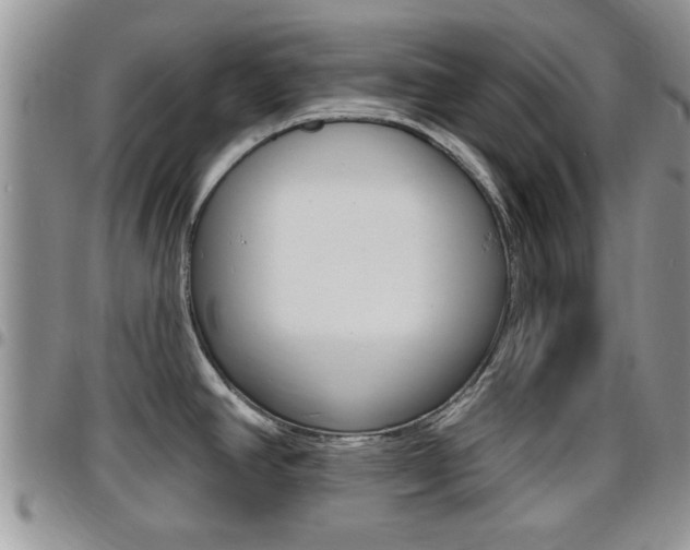 X0000096191390200801180958