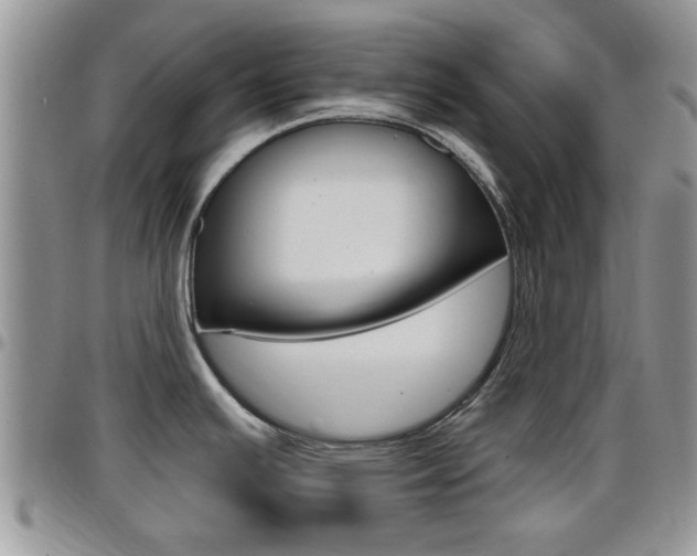 X0000096191391200801180958