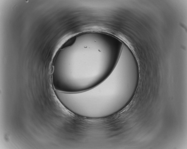 X0000096191392200801180958