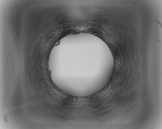 X0000096191393200801180958