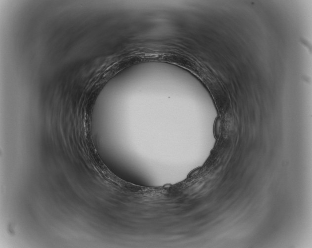 X0000096191394200801180958