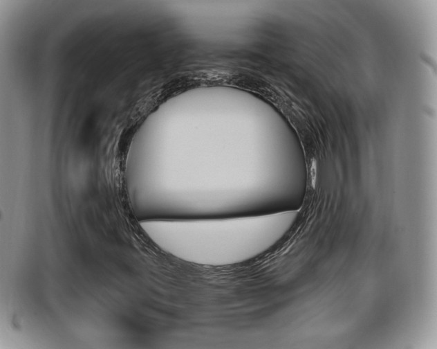 X0000096191395200801180958