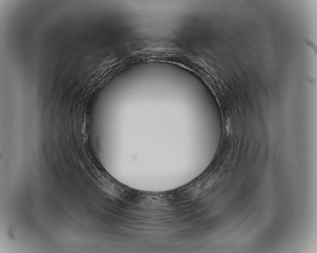 X0000096191396200801180958