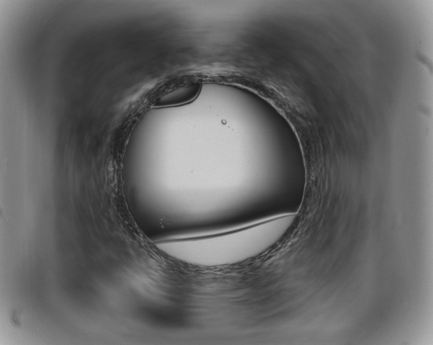 X0000096191398200801180958