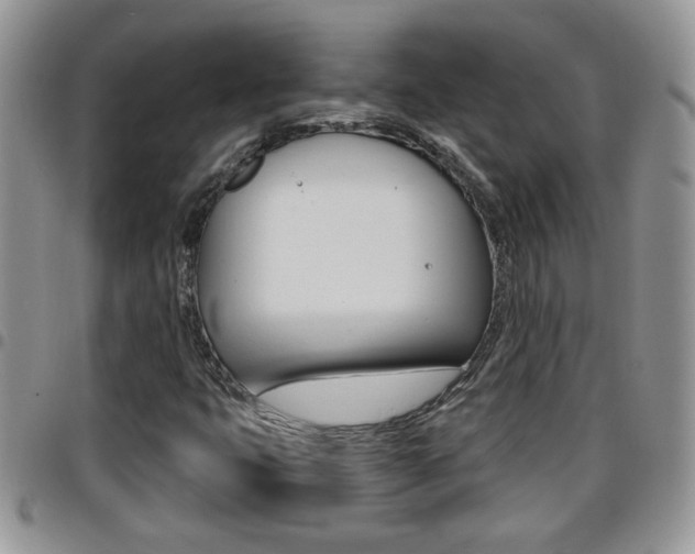 X0000096191399200801180958