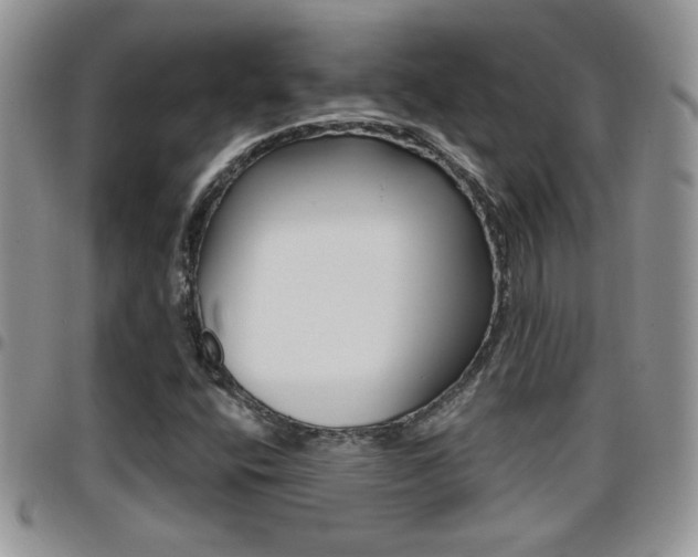 X0000096191400200801180958