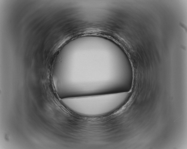 X0000096191401200801180958