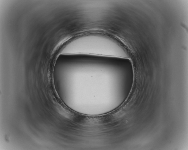 X0000096191402200801180958