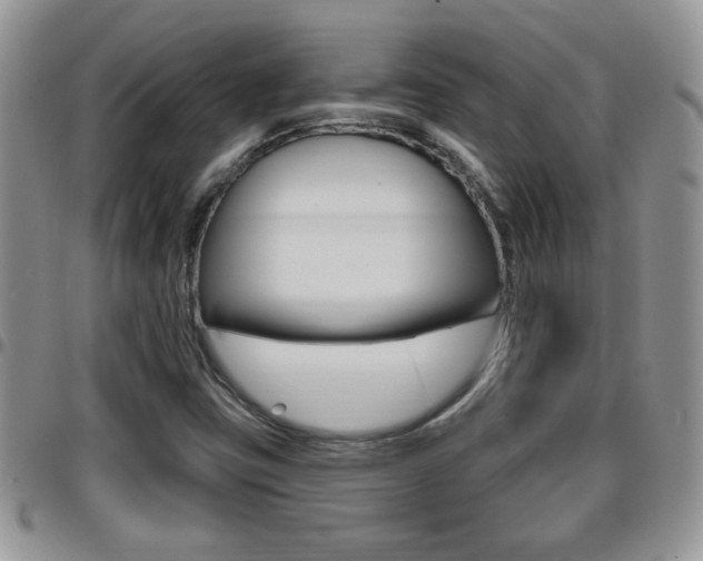 X0000096191403200801180958