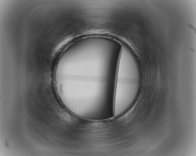 X0000096191406200801180958