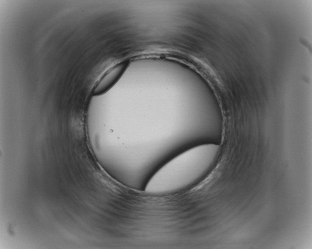 X0000096191409200801180958